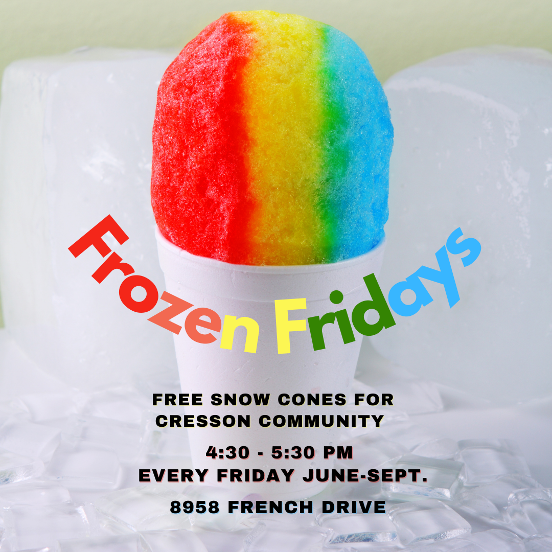 Frozen Fridays